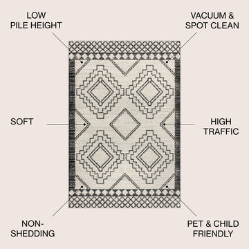 Amir Moroccan Beni Souk Area Rug